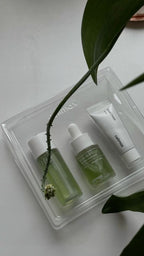 Noni Starter Kit Celimax