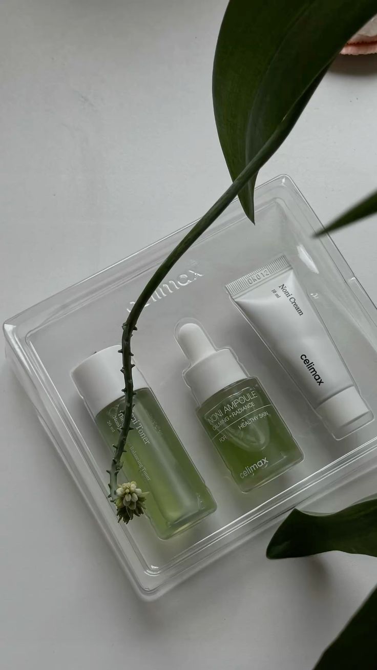 Noni Starter Kit Celimax